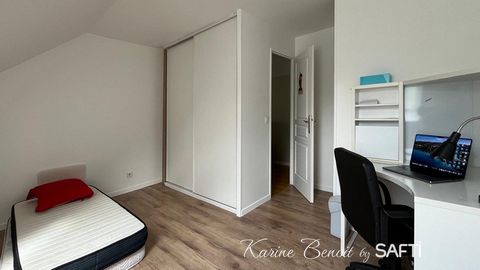 photo no. 11