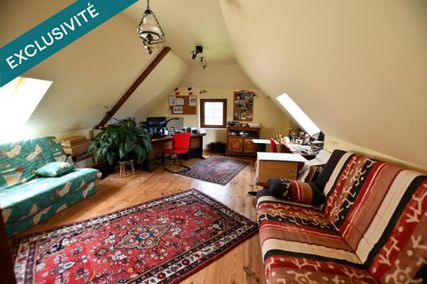 photo no. 13