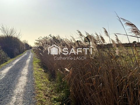 photo no. 1