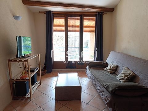 photo no. 6