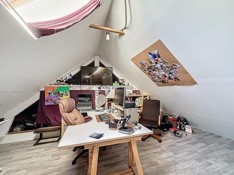 photo no. 17