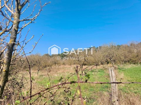 TERRAIN AGRICOLE