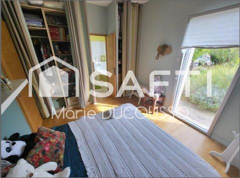 photo no. 8