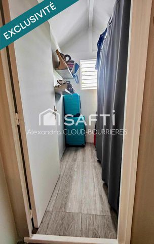 photo no. 11