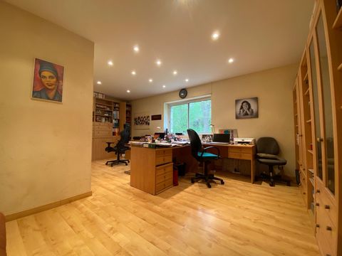 photo no. 13