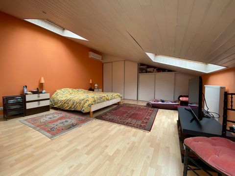 photo no. 18