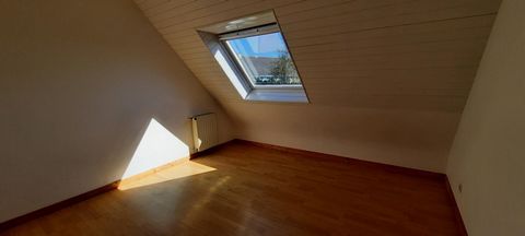 photo no. 10