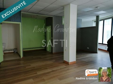 photo no. 5