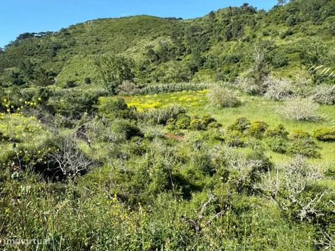 Terreno Rustico com 4250m2, no Carvalhal Localizado em zona tranquila a 10km de Mafra e das praias e São Julião e Foz do Sizandro. Terreno rústico com 4.250m2 e benfeitoria (pequena casinha de pedra) com bom acesso por estrada de terra batida apenas ...