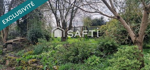 photo no. 11
