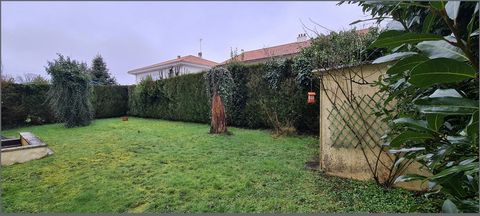 photo no. 10