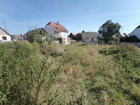 photo no. 1