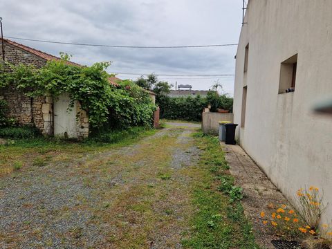 photo no. 6