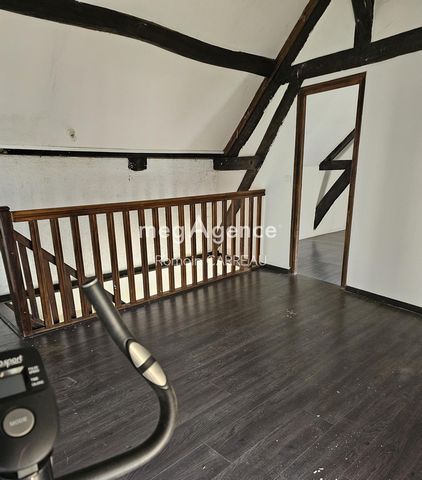 photo no. 7