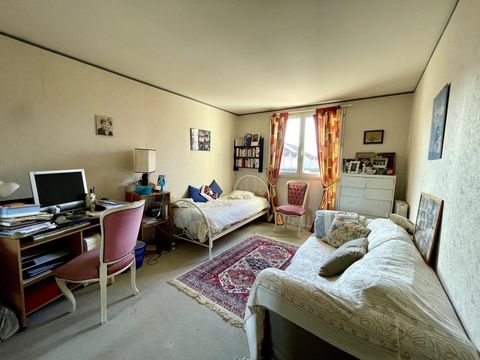 photo no. 7