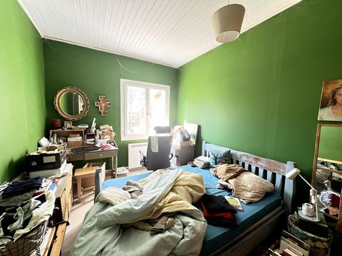 photo no. 11