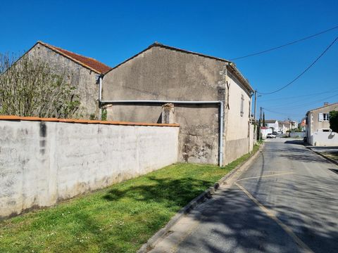 photo no. 1