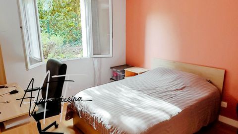 photo no. 7