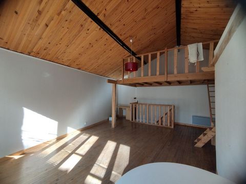 photo no. 5