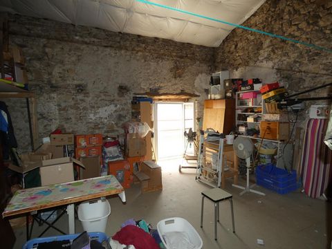 photo no. 12
