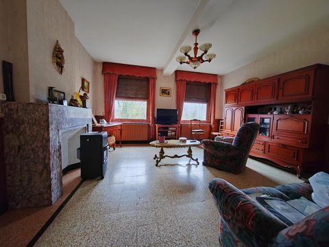 photo no. 7