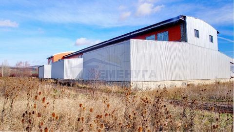 Production warehouse in the region between Koinbrod and the international road for Kalotina. VARIOUS PAYMENT AND NEGOTIATION SCHEMES ARE POSSIBLE. Extremely promising property due to its proximity to the future connection between the North Tangent an...