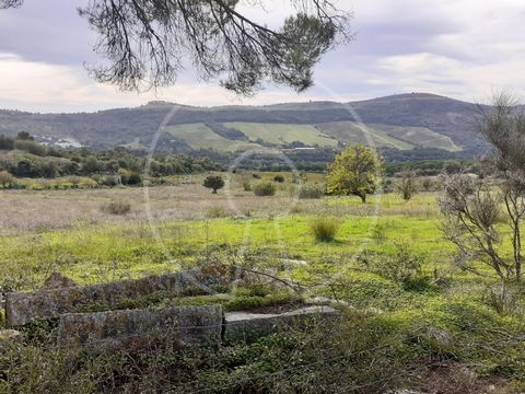 Near Bucelas and Alverca is this Farm with 17 740 sqm and with a good solar exhibition to the south. According to information provided by the city council there will be the possibility of construction of about 400 sqm The unfinished construction on t...