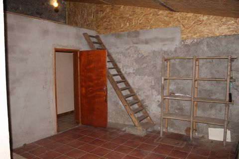 photo no. 13