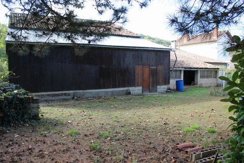 photo no. 17