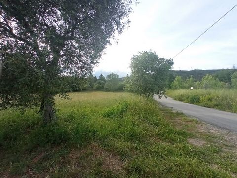 QUINTINHA SERRA DA ESTRELA, 1 hectare with house to recover and views of the valley of Cova da Beira On one of the NE slopes of Serra da Estrela, 20 km from Guarda, near Belmonte, this small farm with almost 1ha of land is for sale. In a beautiful qu...