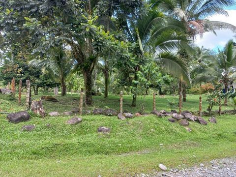 This 100% flat land of 18.200 sq. ft, sold without mortgages or annotations. Ready to sell and build. Use of residential land, 