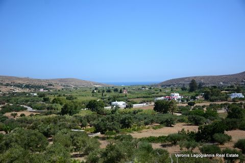 Galini Naxos, an amphitheater agricultural land of 10.802 m2 is available for sale. Within the land there is a warehouse of 53 m2 and olive trees. Possibility of building a house of 280 m2. Panoramic view to the sea. Easy access from the road. The di...