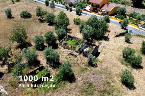 Identificação do imóvel: ZMPT559351 Land, with about 3.8 hectares , located in J uncais de Cima , in the UF of Tomar . Excellent location just 3 km from the historic center of Tomar and 4 km from the Business Park. Tomar is about 130 km from Lisbon ....