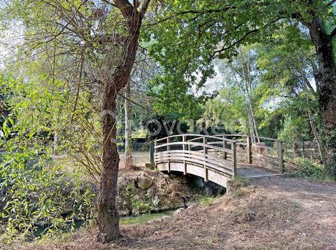 At Novarea, we invite you to return to nature. To access this family home, first take the long driveway surrounded by walnut trees and bordered by a canal feeding the old mill of the property. Upon entering, discover on the ground floor a large livin...