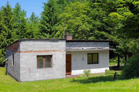 A small house in a raw state, in a picturesque area House for sale Jodłówka Tuchowska The offer of the property is addressed in a special way to people looking for their own little corner of the earth, where they will be able to live and enjoy the su...