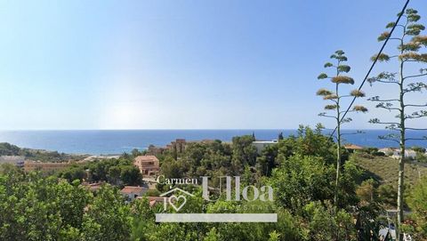 LAND 1326m2 WITH SEA VIEWS IN COVETA FUMÁExcellent land of 1326m2, located in the prestigious area of Coveta Fumá in El Campello with spectacular sea views.Its generous dimensions allow the construction of a residence of 320 square meters for each of...