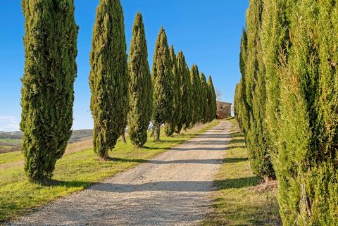 Suggestive estate in Trequanda, in the Province of Siena We present an extraordinary opportunity in the heart of Tuscany, in the charming municipality of Trequanda. This property is immersed in the breathtaking beauty of the Tuscan countryside and of...