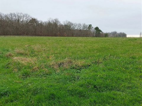 Plot of land 2098 m²in the countryside and close to shops and town centre (Montendre 13km). No services on plot. Flat land without trees and in a peaceful location. It is posssible to buy the neighboring land of 1997m² (ref: BVI74377). Price includin...