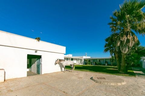 This house is in a private enclosure with several lodgings around a garden where you will only hear the birds. If you come with your family and you are looking for a nice, relaxing and easy option, this is the place for you; by day, to the beach and ...