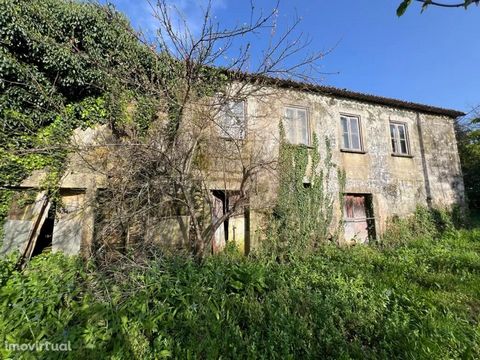 Explore the rural charm of Meixedo! We present a beautiful farm in this stunning location. Discover a tranquil haven where nature merges with the rural lifestyle. This is the perfect opportunity for anyone looking for an idyllic cottage. Schedule you...