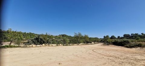 Agricultural land of 21512m² arranged in rice fields with a possibility of extension of 7000m² for an additional 2000 euros. 2 hours from Barcelona SPAIN and 45 minutes from the sea. The land is served by agricultural water distributed over the entir...
