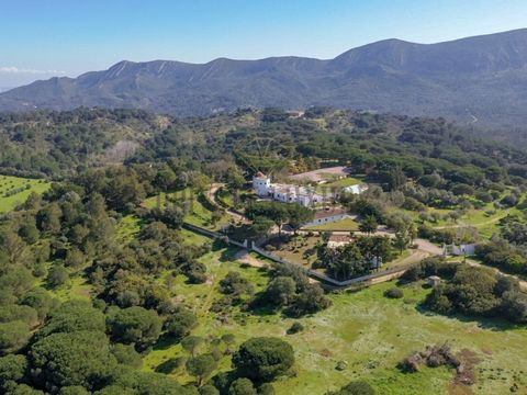 The feeling of lightness, the nature that surrounds it, the view of the horizon and the two windmills make this Quinta, located in the Serra da Arrábida Natural Park, a unique property in the Palmela region. Located on one of the highest points in th...