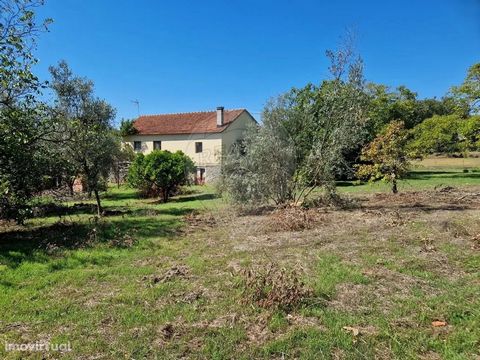Excellent farm for sale, with an area of more than 2530 m2.               It has a borehole and a well with a spring.                                             Come and discover the potential of this property!!  