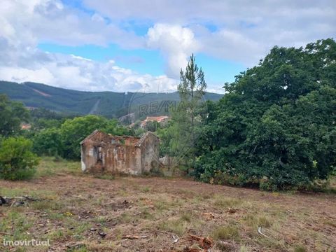 Grundstück mit ausgezeichneter Gegend mit zwei Ruinen zur Erholung. Das Anwesen befindet sich in einer sehr ruhigen Gegend und nur wenige Minuten vom Dorf Figueiró dos Vinhos entfernt. Das Anwesen besteht aus Eichen, Obstbäumen, flachem Land für den ...