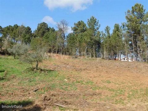 Isolated agro-silvo-pastoral land with 1Ha. Location near Souto da Casa. Highlight for the possibility of construction with the authorization of the City Council and for the fertile soil. It also has mountain views and good access.
