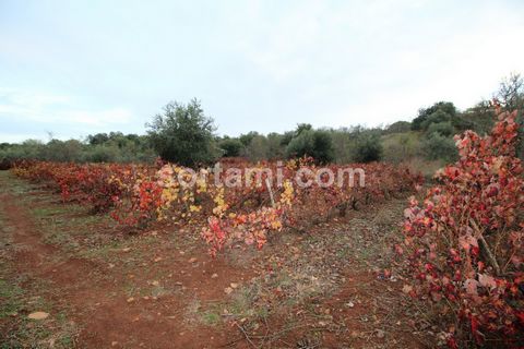 Fantastic plot of land with an old ruin on it. Located in a rural area with lots of natural charm, it has an area of 140m2.The land has a vineyard, olive trees and other fruit trees.It has a wonderful view over the mountains.Rural area away from the ...