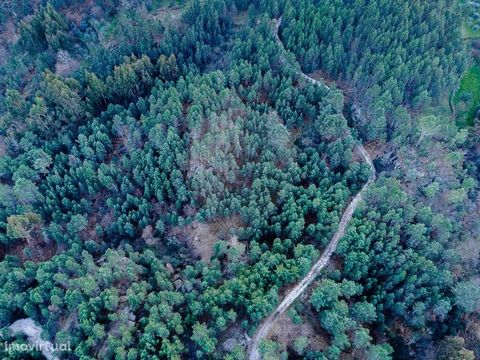 Land with 2200m2 for sale at 2 200 € Agricultural and Forest Land composed of maritime pine and oak trees in an area rich in water. - Good agricultural accessibilities, as well as excellent sun exposure. - Area of excellence for chestnut trees, in it...