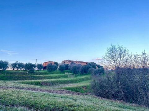 In the heart of the Tuscan countryside, in Fucecchio, there is a rustic house of great charm and potential. Located in a raised and panoramic position, it consists of 4 buildings; a main one and three accessories for a total of approximately 1000 m2....