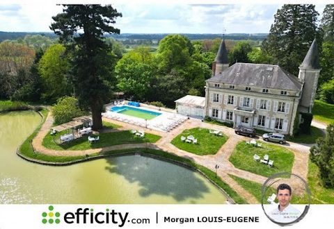 37290 TOURNON-SAINT-PIERRE - EXCEPTIONAL 19th CENTURY TUFFEAU STONE PROPERTY - CHÂTEAU LES VALLÉES - 4.7 HECTARE PARK WITH CENTURY-OLD TREES - PRIVATE POND - 441 M² VILLA - 140 M² CARETAKER'S HOUSE - HEATED SWIMMING POOL - VAULTED CELLAR - WOODS - ES...