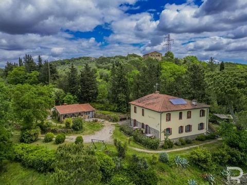 This lovingly maintained and fully fenced agriturismo is located on a hillside in the middle of the beautiful Val di Cornia countryside. The property consists of a main building, which has several apartments. There are four one-room apartments and tw...